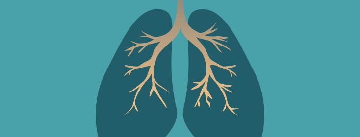 Asthma is a Single Disease with MANY root causes.