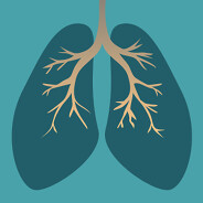 Pair of lungs on blue background