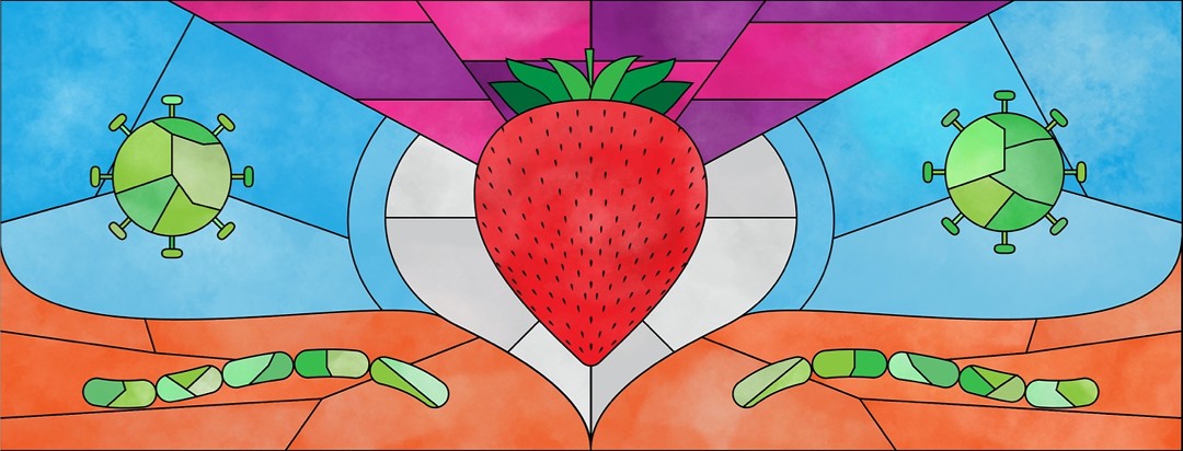 a stained glass window showing a strawberry in the middle