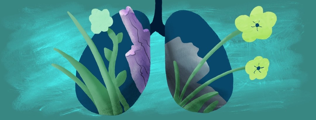 rocks and plants growing out of lungs