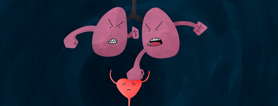 lungs punching bladder