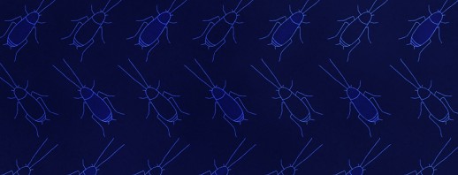 Cockroach Allergies image