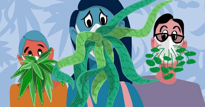 Should I Have Houseplants if I Have Asthma? image