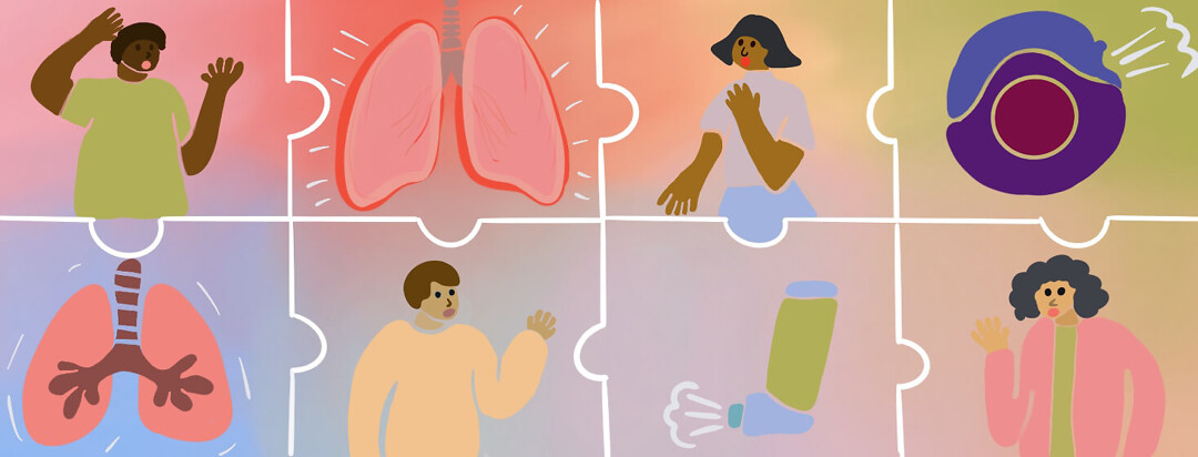 Different Asthma experiences make up the larger whole and add to research.