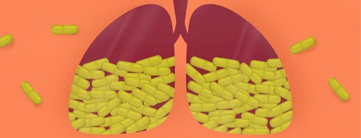 Quercetin and Asthma image