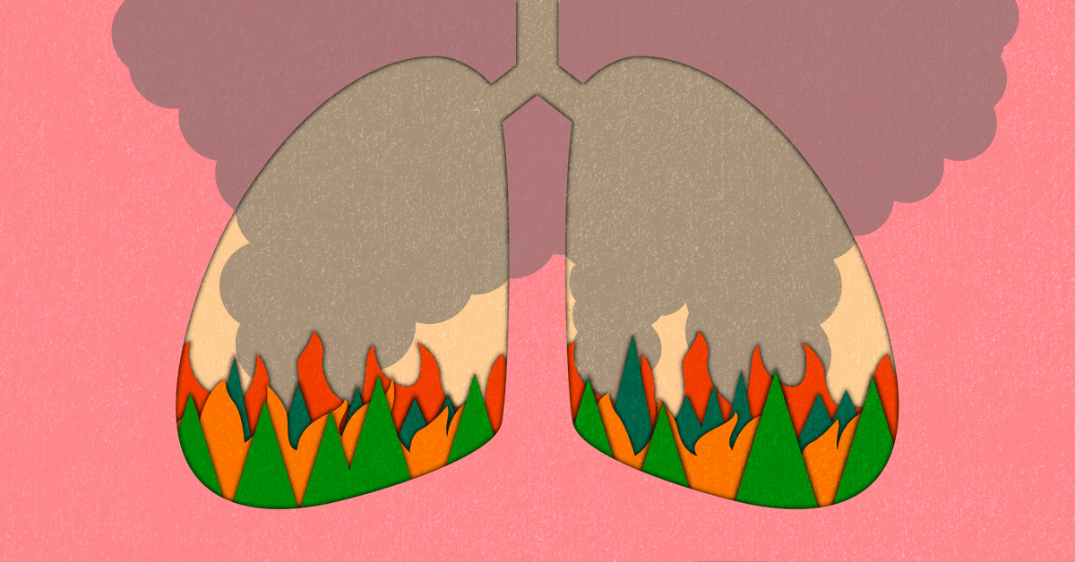 Protecting Ourselves From Wildfire Smoke as People With Asthma
