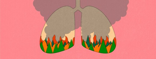 Wildfires Have Become a New Worrisome Summertime Asthma Trigger image