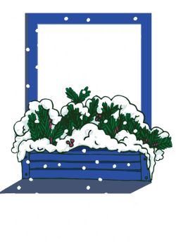 A window with a flower box filled with winter foliage