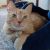 Profile picture of Cammiecat